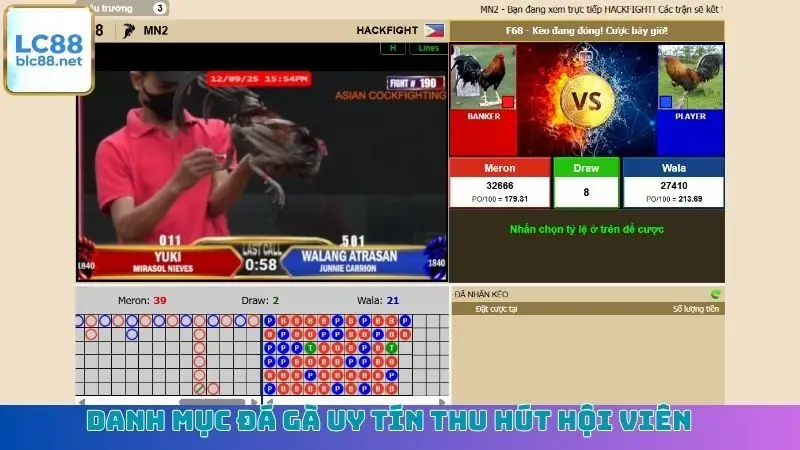 Danh mục đá gà uy tín thu hút hội viên