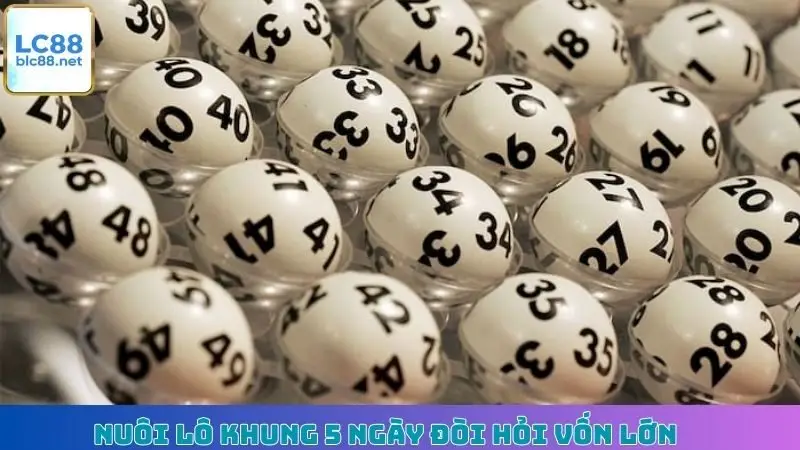 Nuôi lô khung 5 ngày đòi hỏi vốn lớn