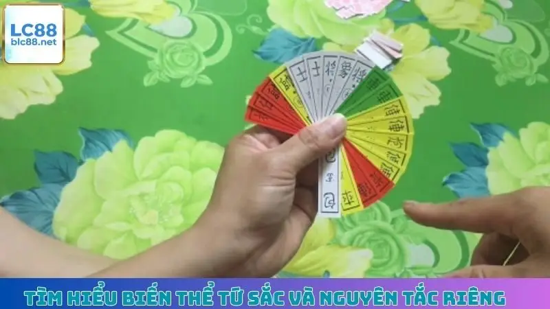 Tìm hiểu biến thể Tứ Sắc và nguyên tắc riêng