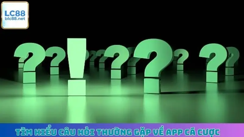 Tìm hiểu câu hỏi thường gặp về app cá cược