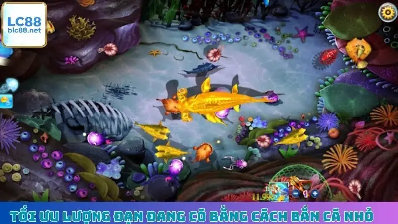 Tối ưu lượng đạn đang có bằng cách Bắn Cá nhỏ